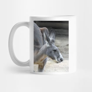 Red Kangaroo Mug